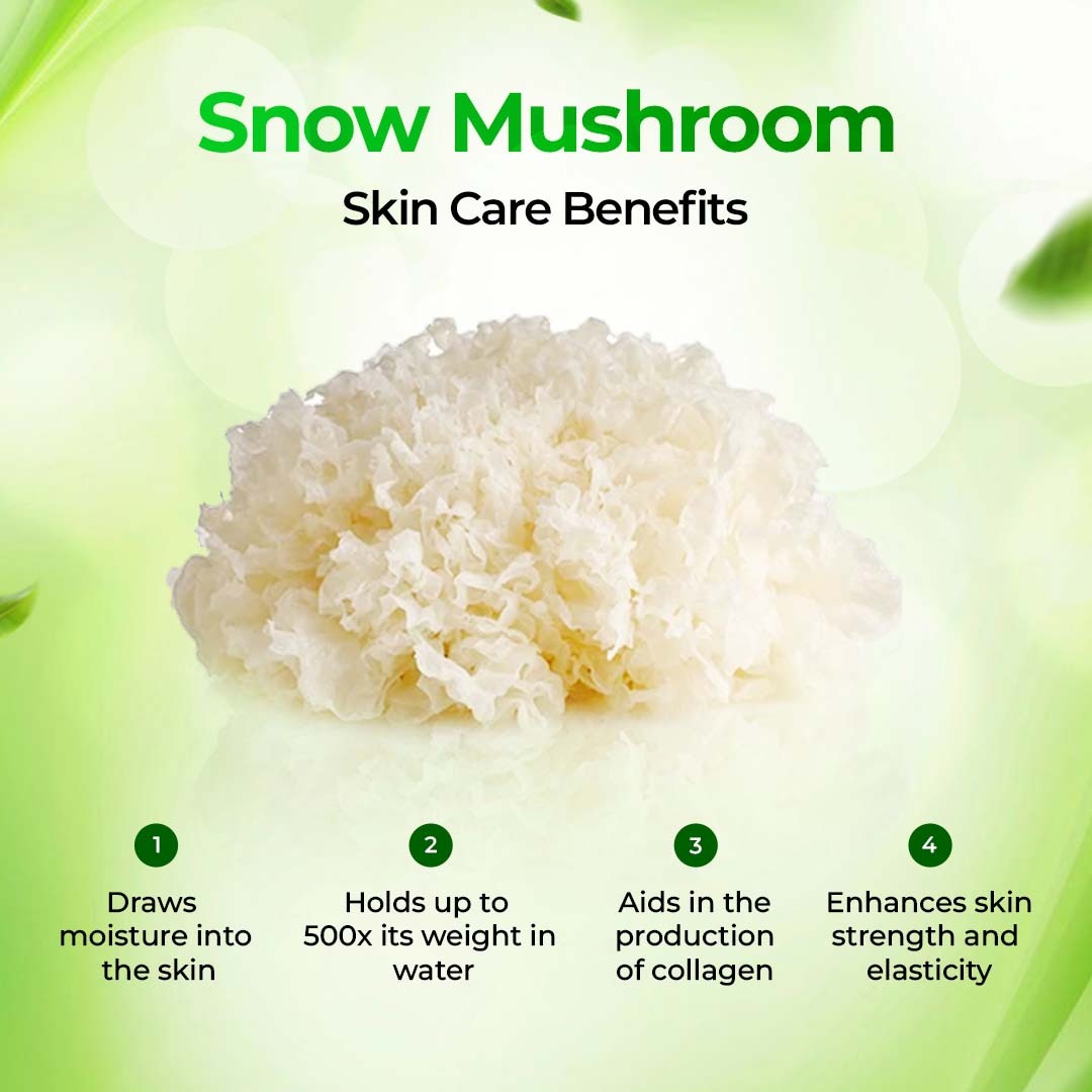 IMF Intense Moisture Lotion – 72 Hour Hydration with Snow Mushroom & Squalane